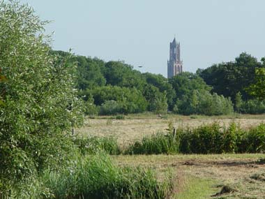 zicht op Domtoren Utrecht