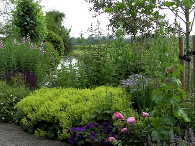 tuin